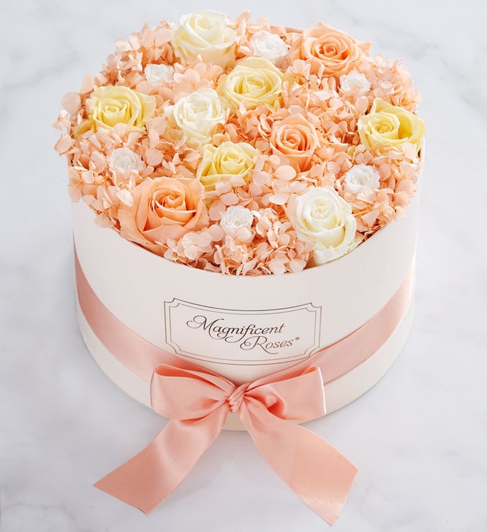 Magnificent Roses® Pastel Delight